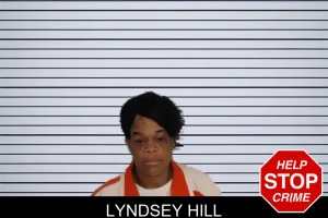 Lyndsey Hill mugshot