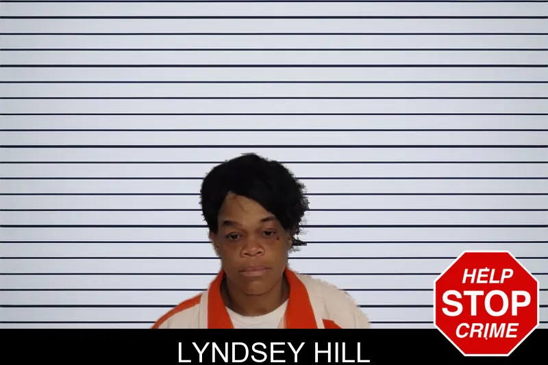 Lyndsey Hill mugshot