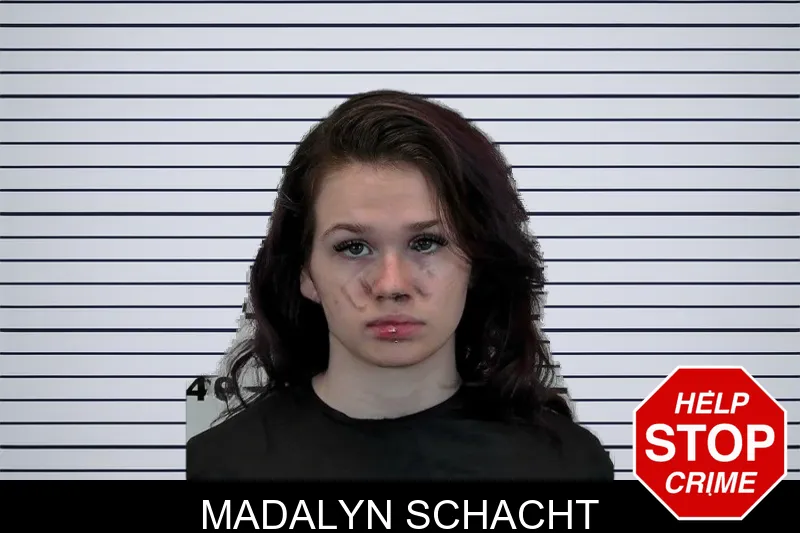 Madalyn Schacht mugshot – Hart County , Georgia Madalyn Schacht mugshot