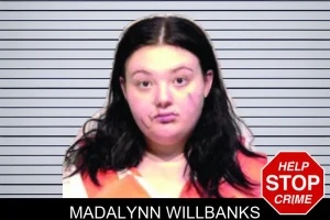 Madalynn Willbanks mugshot