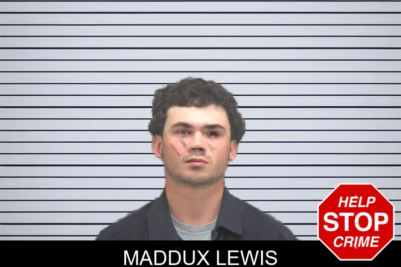 Maddux Lewis mugshot