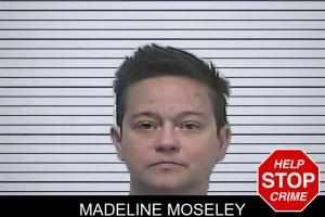 Madeline Moseley mugshot