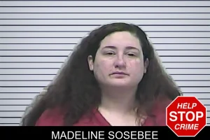Madeline Sosebee mugshot