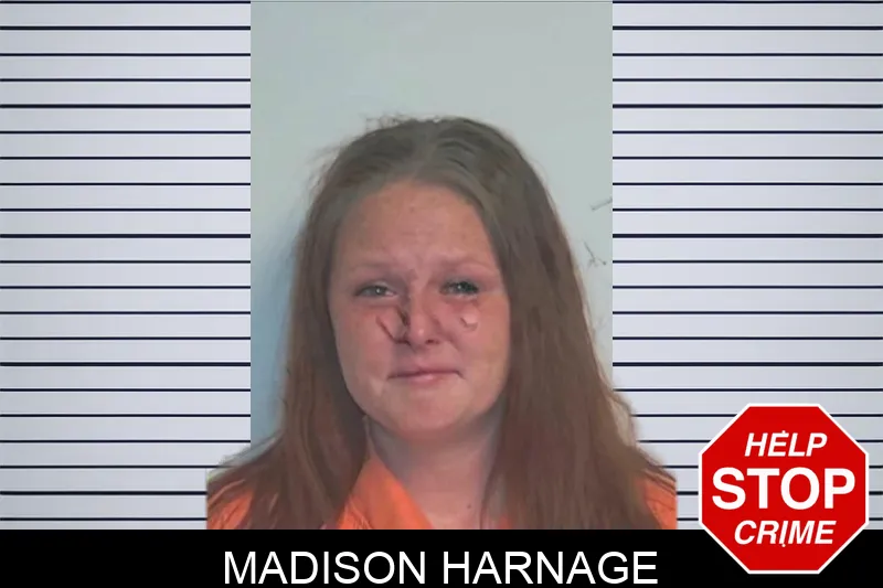 Madison Harnage mugshot – Berrien County , Georgia Madison Harnage mugshot