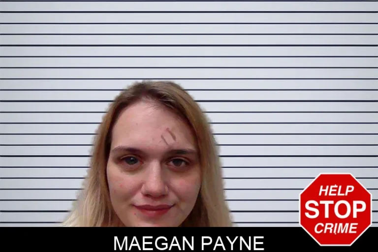 Maegan Payne mugshot – Evans County , Georgia Maegan Payne
