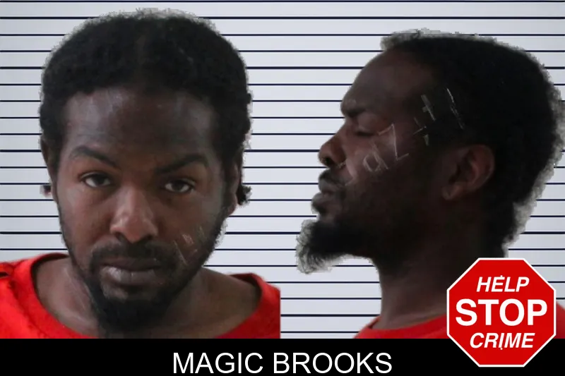 Magic Brooks mugshot