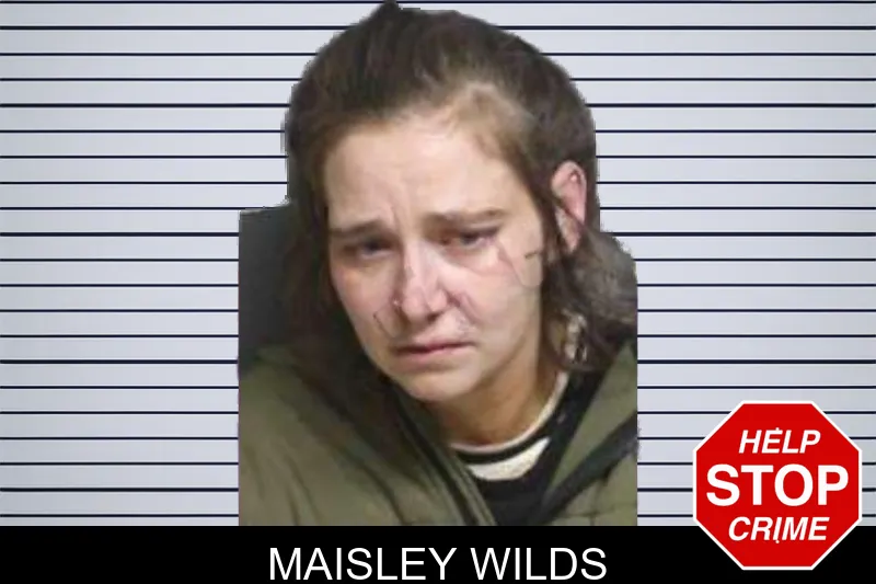 Maisley Wilds mugshot