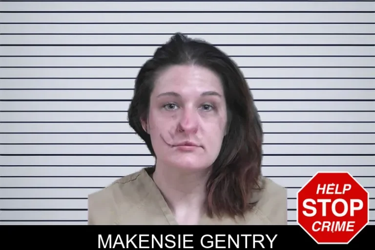 Makensie Gentry mugshot – Hall County , Georgia Makensie Gentry
