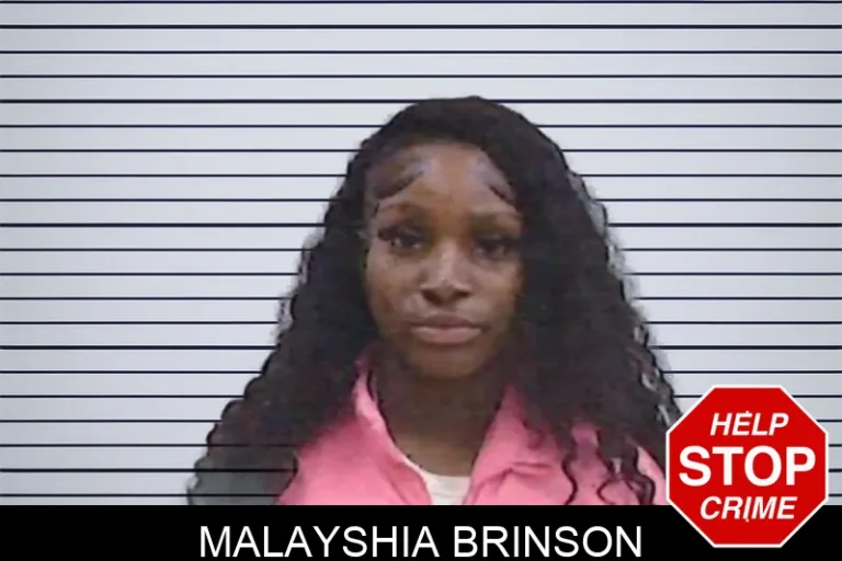 Malayshia Brinson mugshot – Screven County , Georgia Malayshia Brinson