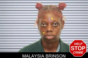 Malaysia Brinson mugshot