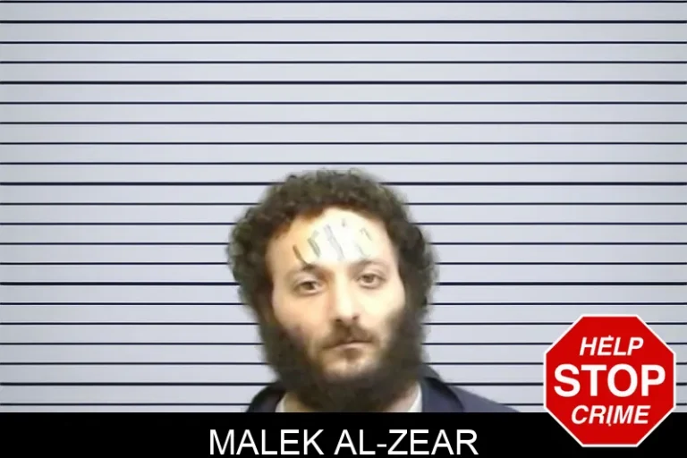 Malek Al-Zear