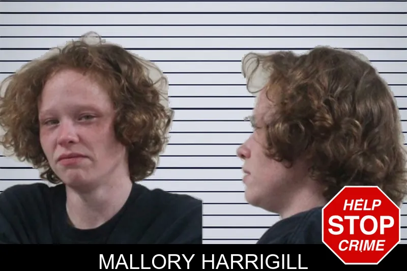 Mallory Harrigill mugshot