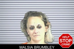 Malsia Brumbley mugshot