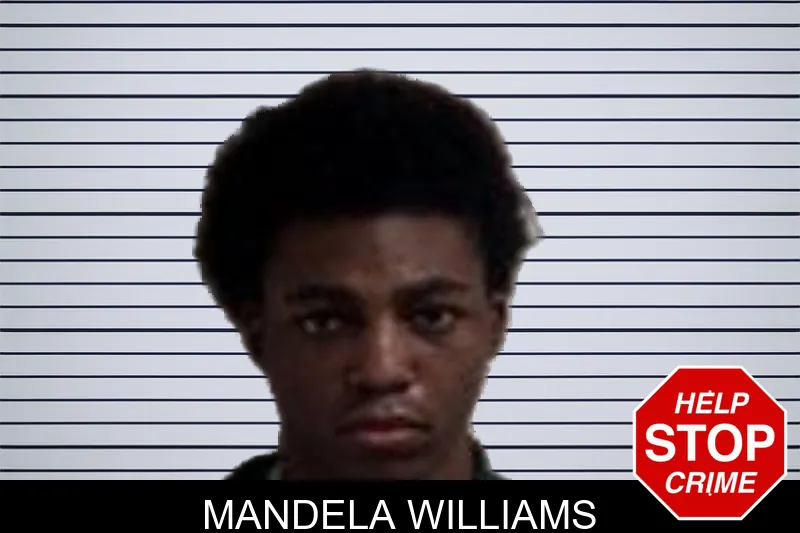 Mandela Williams mugshot