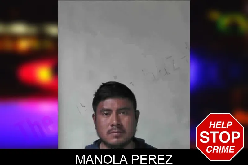 Manola Perez mugshot
