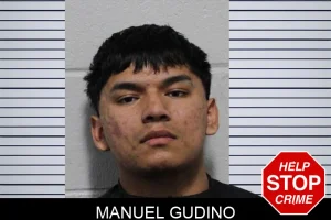 Manuel Gudino mugshot