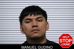 Manuel Gudino mugshot