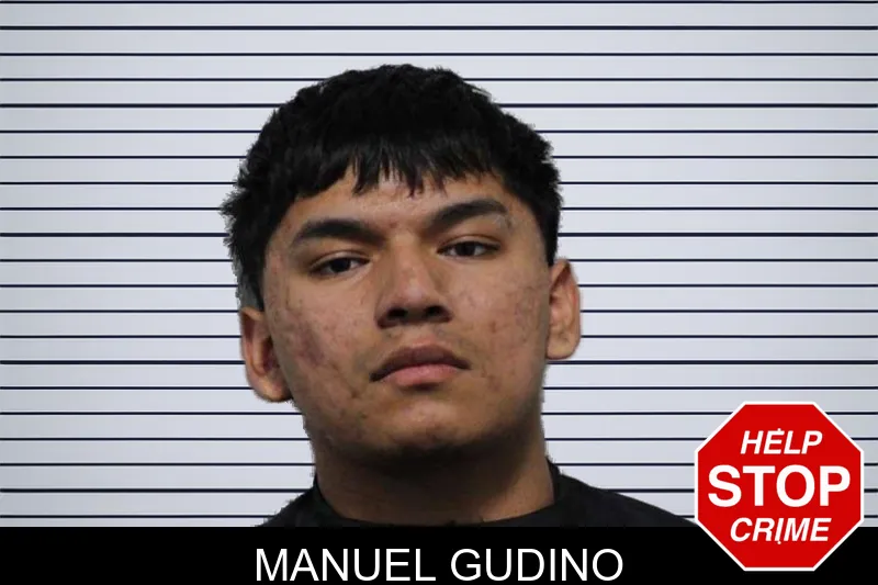 Manuel Gudino mugshot