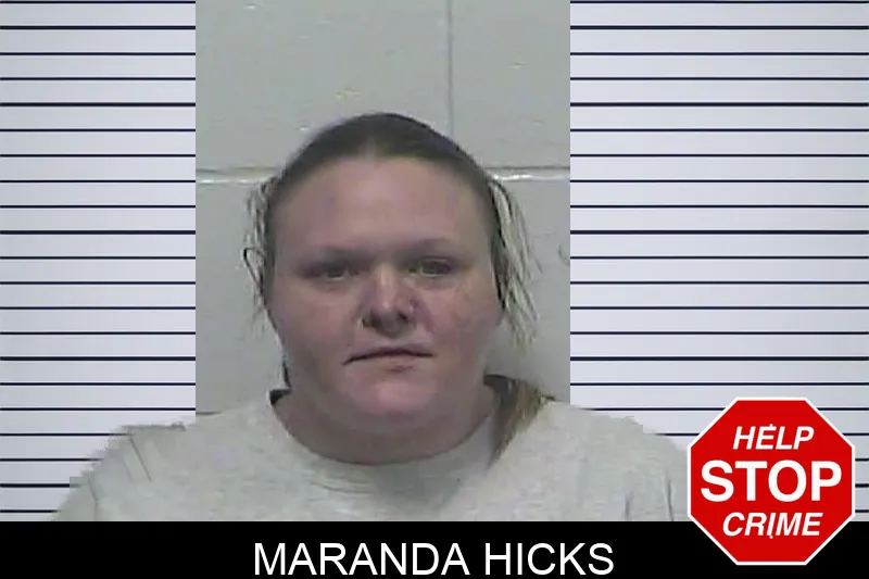 Maranda Hicks mugshot – Fannin County , Georgia Maranda Hicks mugshot