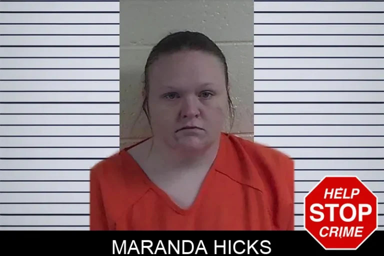Maranda Hicks mugshot – Fannin County , Georgia Maranda Hicks