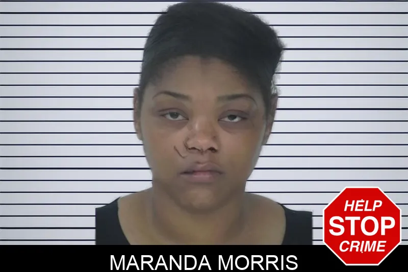 Maranda Morris mugshot – Fayette County , Georgia Maranda Morris mugshot