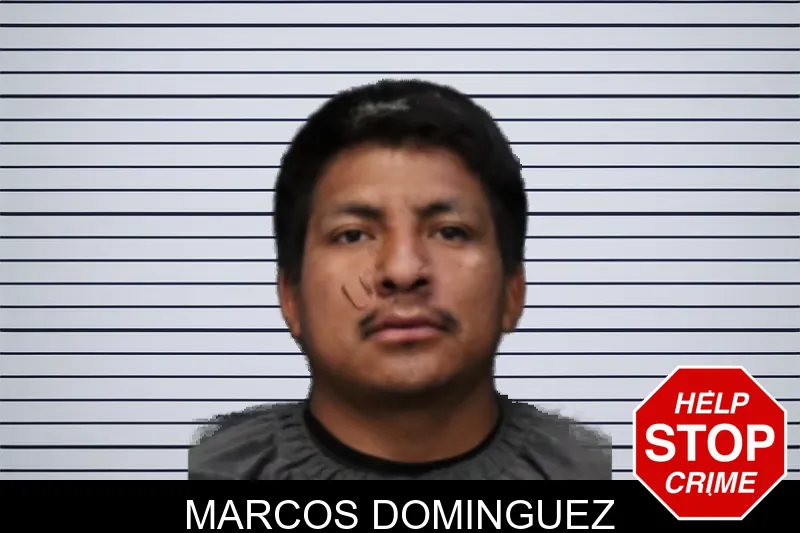 Marcos Dominguez mugshot