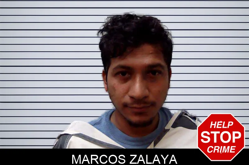 Marcos Zalaya mugshot