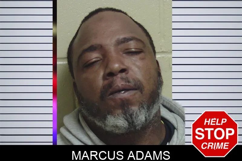 Marcus Adams mugshot