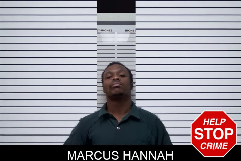 Marcus Hannah mugshot – Irwin County , Georgia Marcus Hannah mugshot
