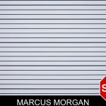 Marcus Morgan mugshot