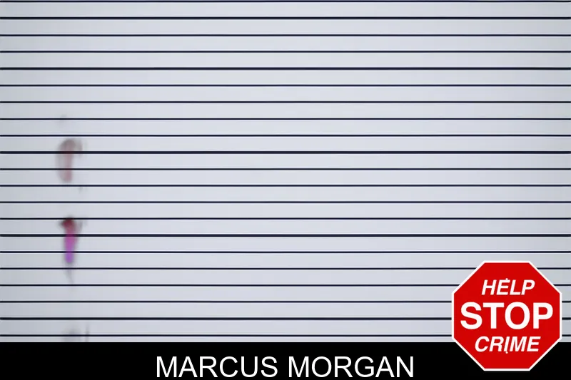 Marcus Morgan mugshot
