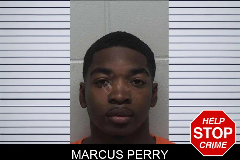Marcus Perry mugshot – Laurens County , Georgia Marcus Perry mugshot