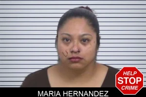 Maria Hernandez mugshot