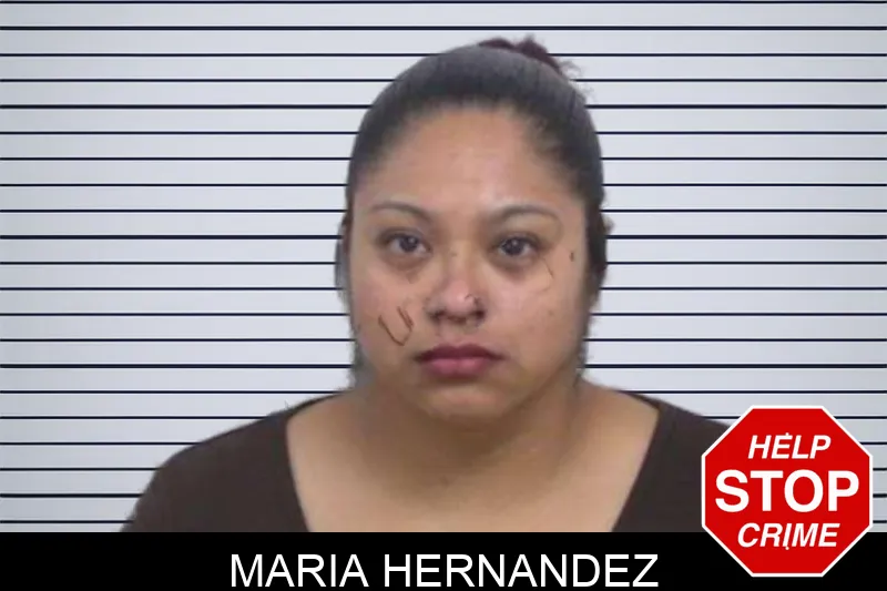 Maria Hernandez mugshot