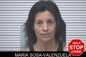 Maria Sosa-Valenzuela mugshot