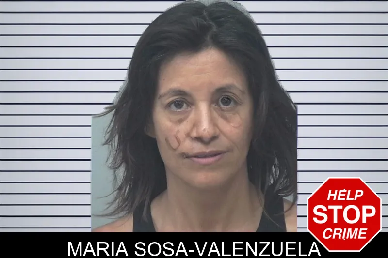 Maria Sosa-Valenzuela mugshot