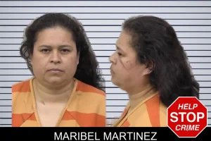 Maribel Martinez mugshot