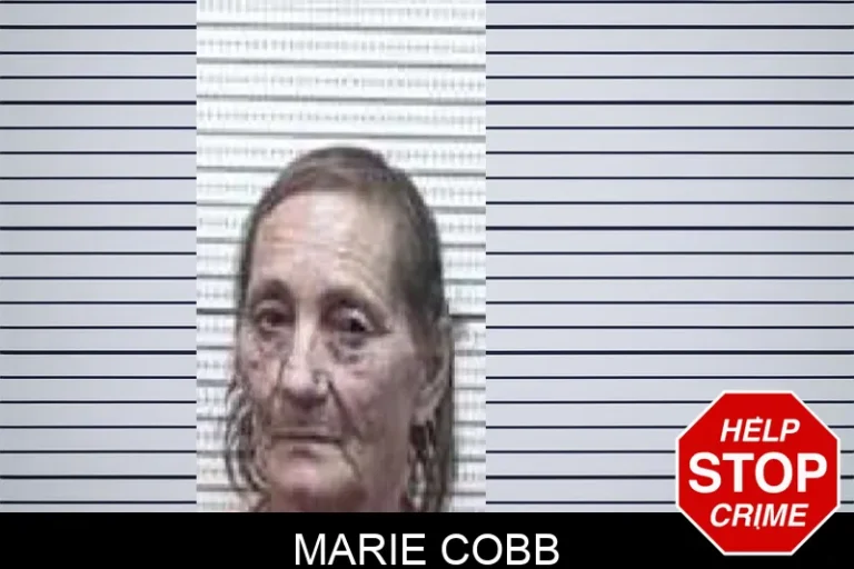 Marie Cobb mugshot – Tattnall County , Georgia Marie Cobb