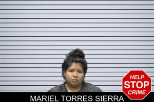 Mariel Torres Sierra mugshot