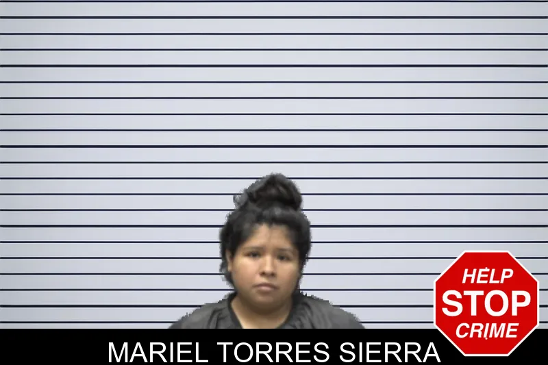 Mariel Torres Sierra mugshot