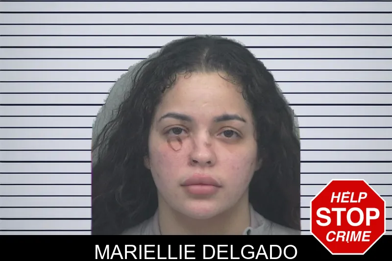 Mariellie Delgado mugshot