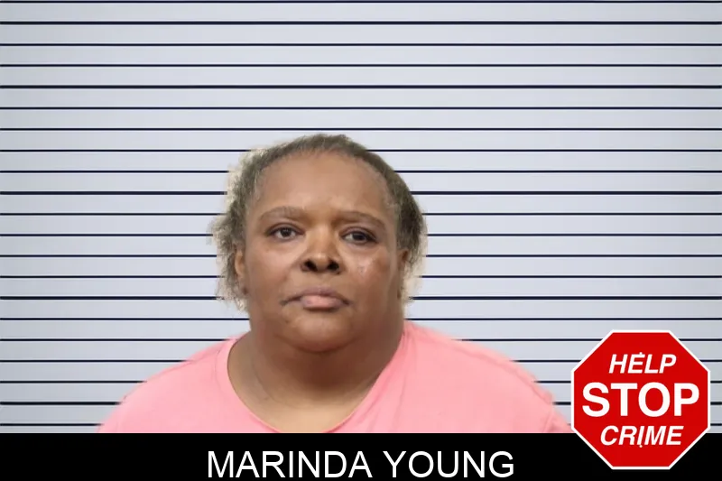 Marinda Young mugshot – Bulloch County , Georgia Marinda Young mugshot