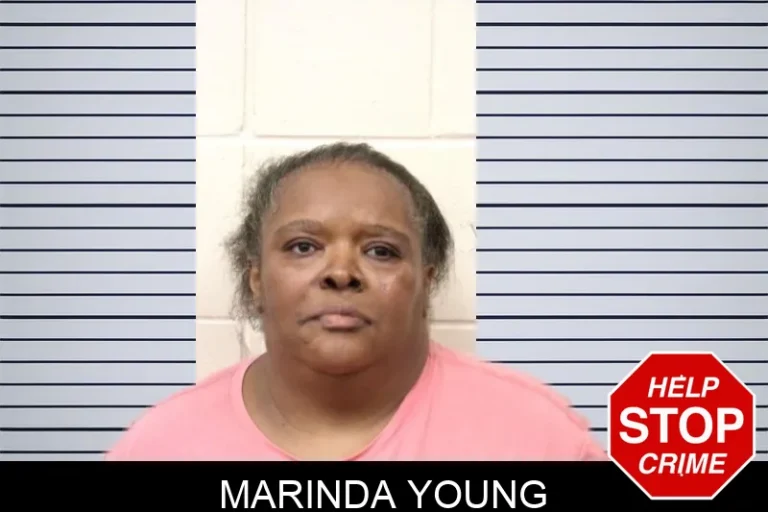 Marinda Young mugshot – Bulloch County , Georgia Marinda Young
