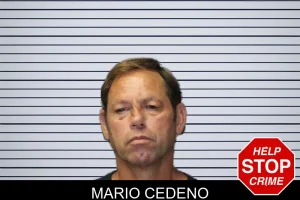 Mario Cedeno mugshot