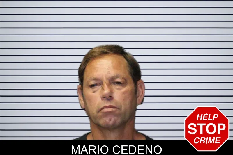 Mario Cedeno mugshot