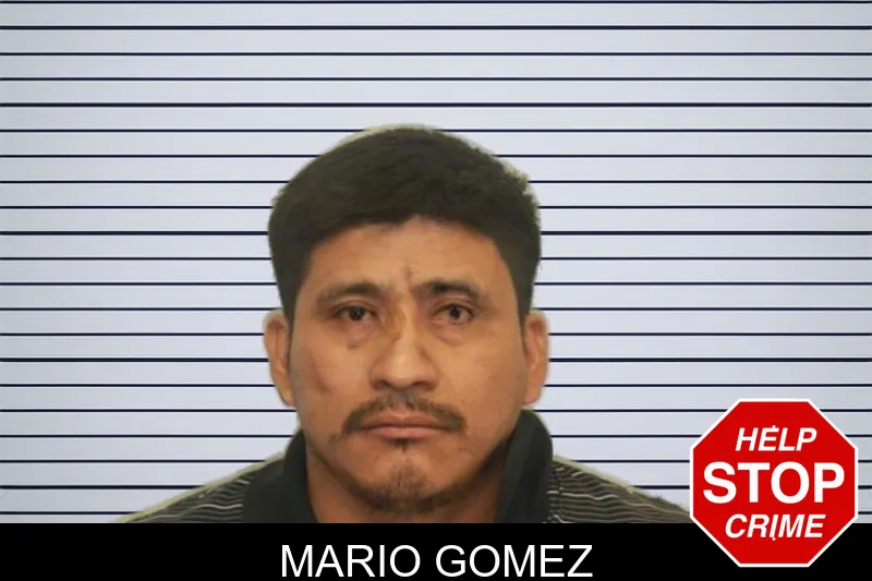 Mario Gomez mugshot
