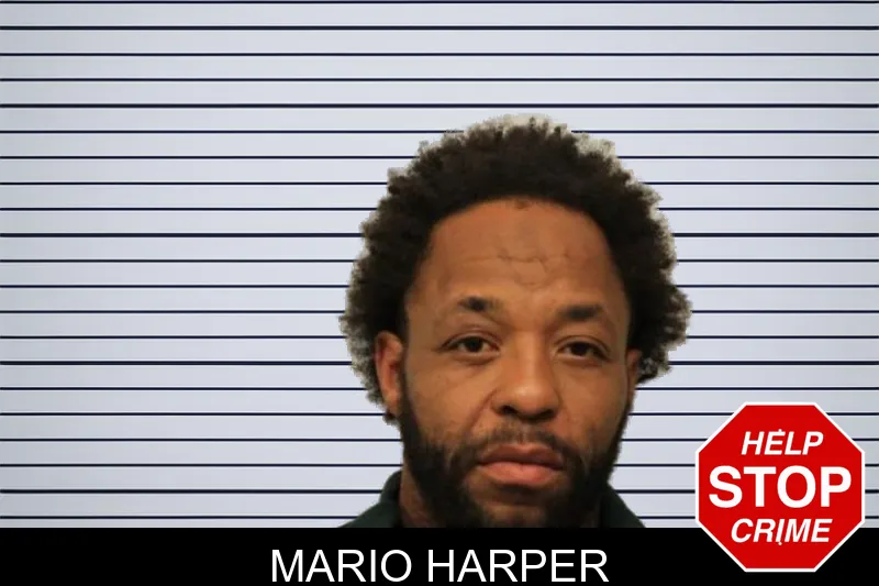 Mario Harper mugshot