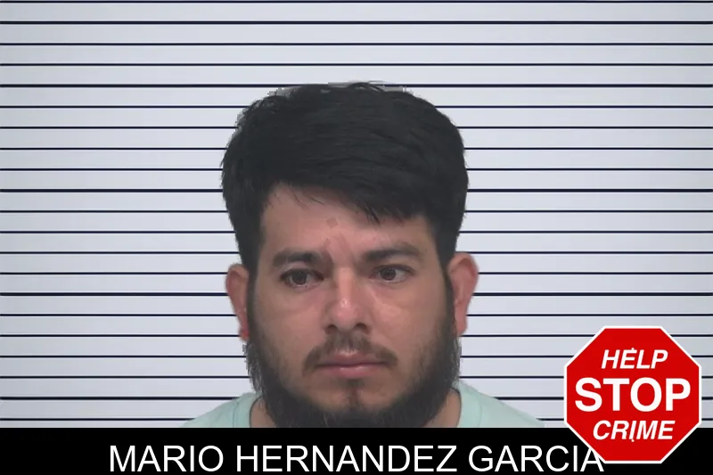 Mario Hernandez Garcia mugshot