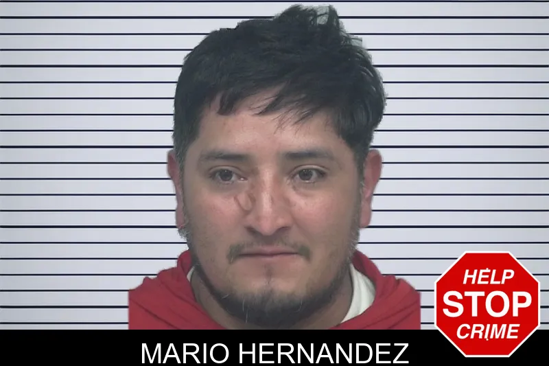 Mario Hernandez mugshot