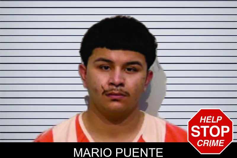 Mario Puente mugshot